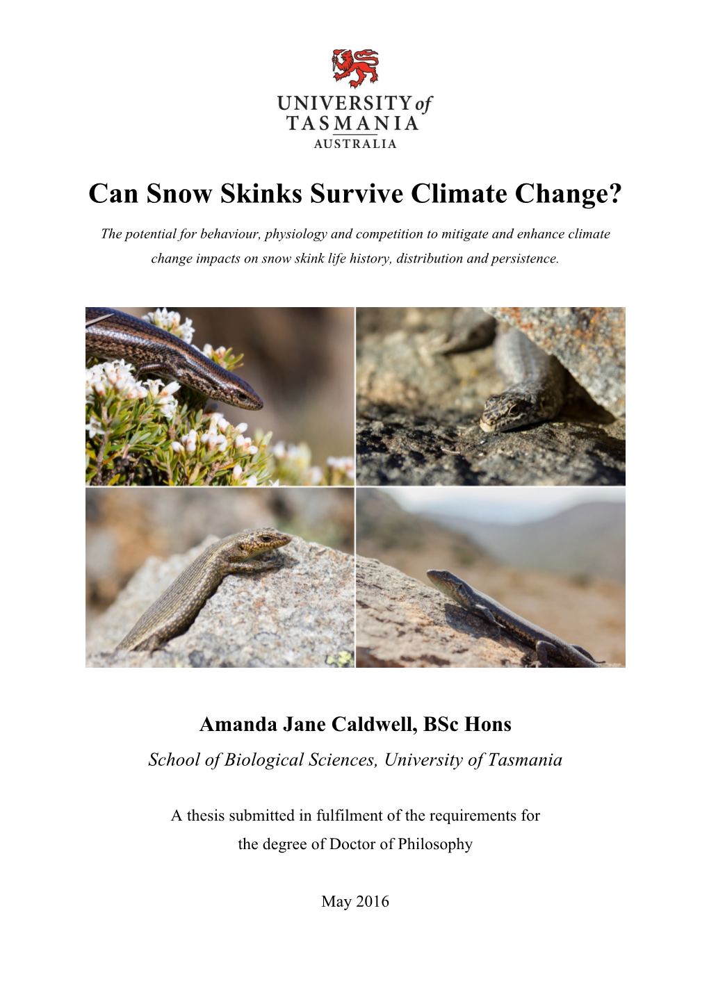 Can Snow Skinks Survive Climate Change?