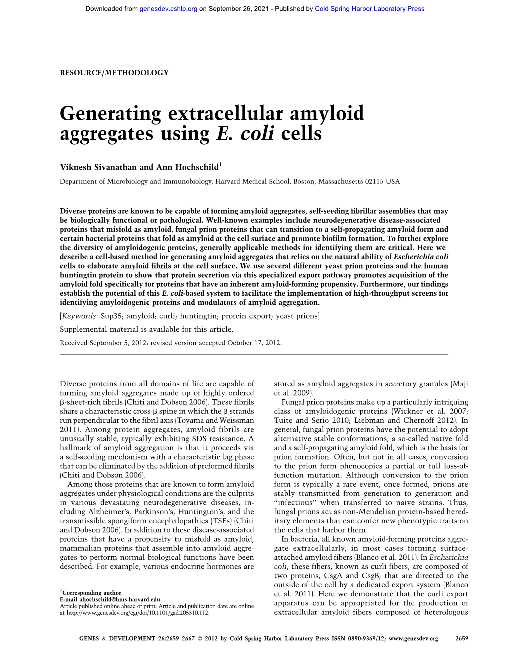 Generating Extracellular Amyloid Aggregates Using E. Coli Cells