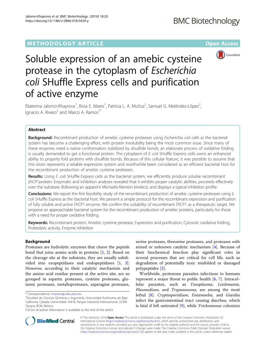 Soluble Expression of an Amebic Cysteine Protease in the Cytoplasm