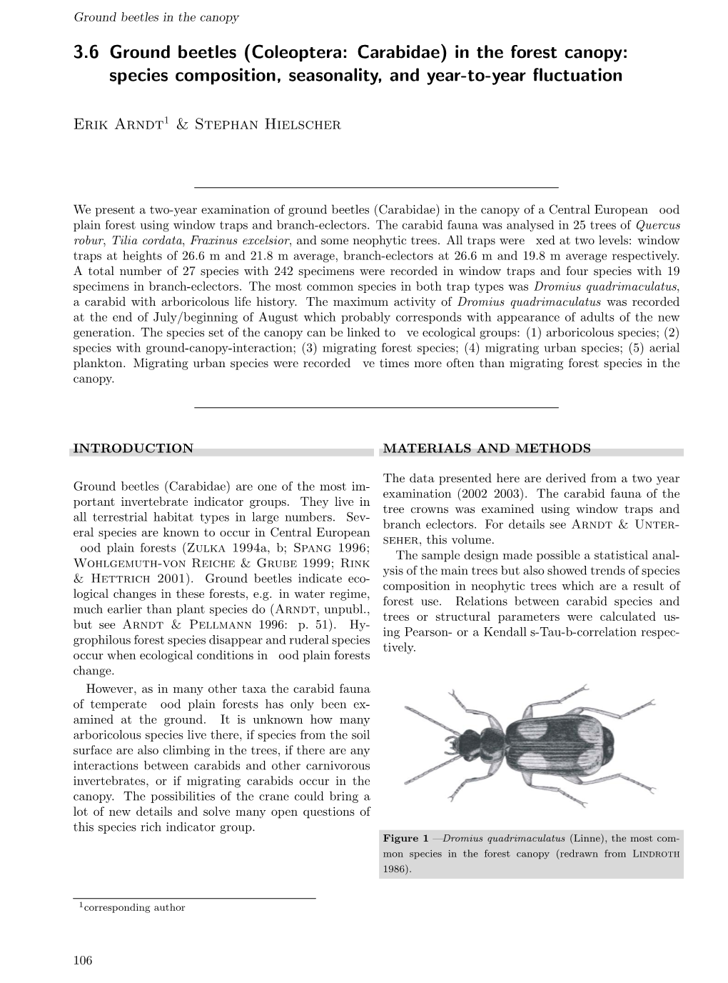3.6 Ground Beetles (Coleoptera: Carabidae) in the Forest Canopy: Species Composition, Seasonality, and Year-To-Year ﬂuctuation