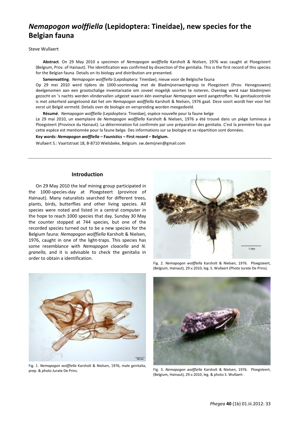 Nemapogon Wolffiella (Lepidoptera: Tineidae), New Species for the Belgian Fauna