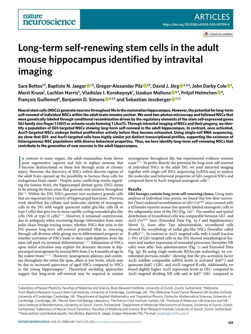 Long-Term Self-Renewing Stem Cells in the Adult Mouse Hippocampus Identified by Intravital Imaging