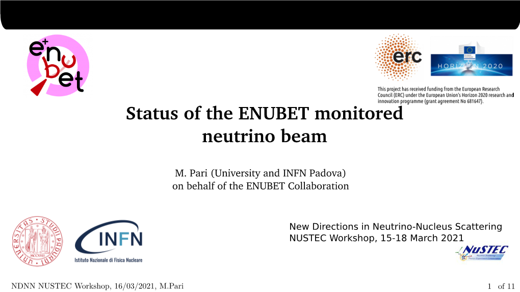 Status of the ENUBET Monitored Neutrino Beam