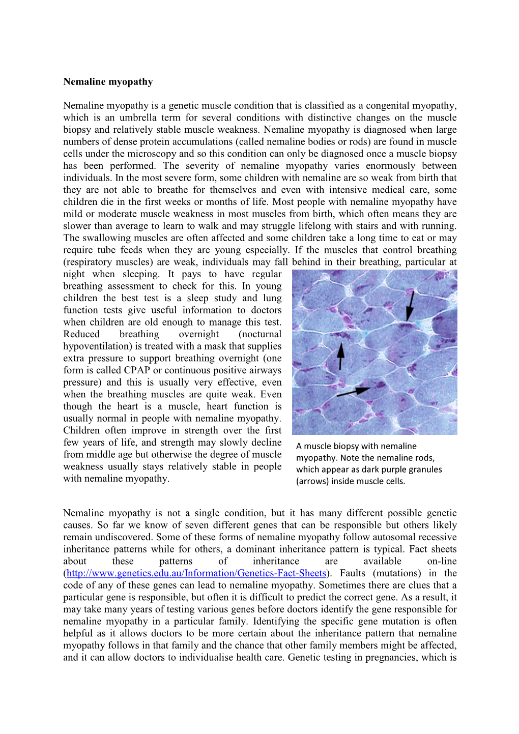 Nemaline-Myopathy – Clarke Nigel