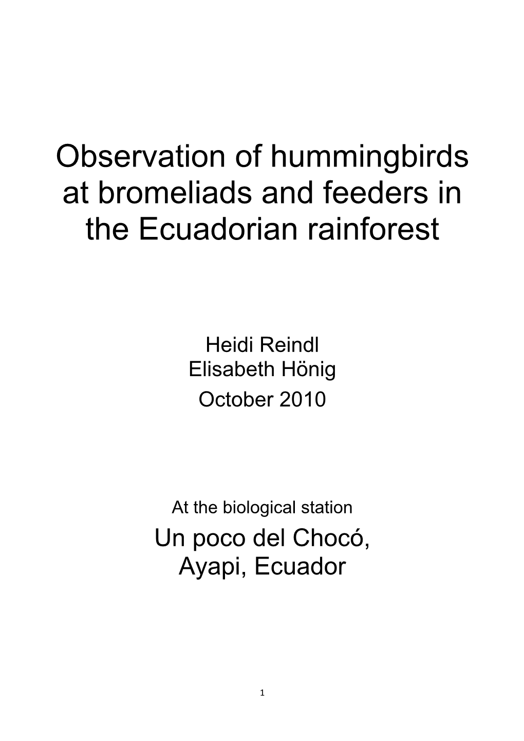 Observation of Hummingbirds at Bromeliads and Feeders in the Ecuadorian Rainforest