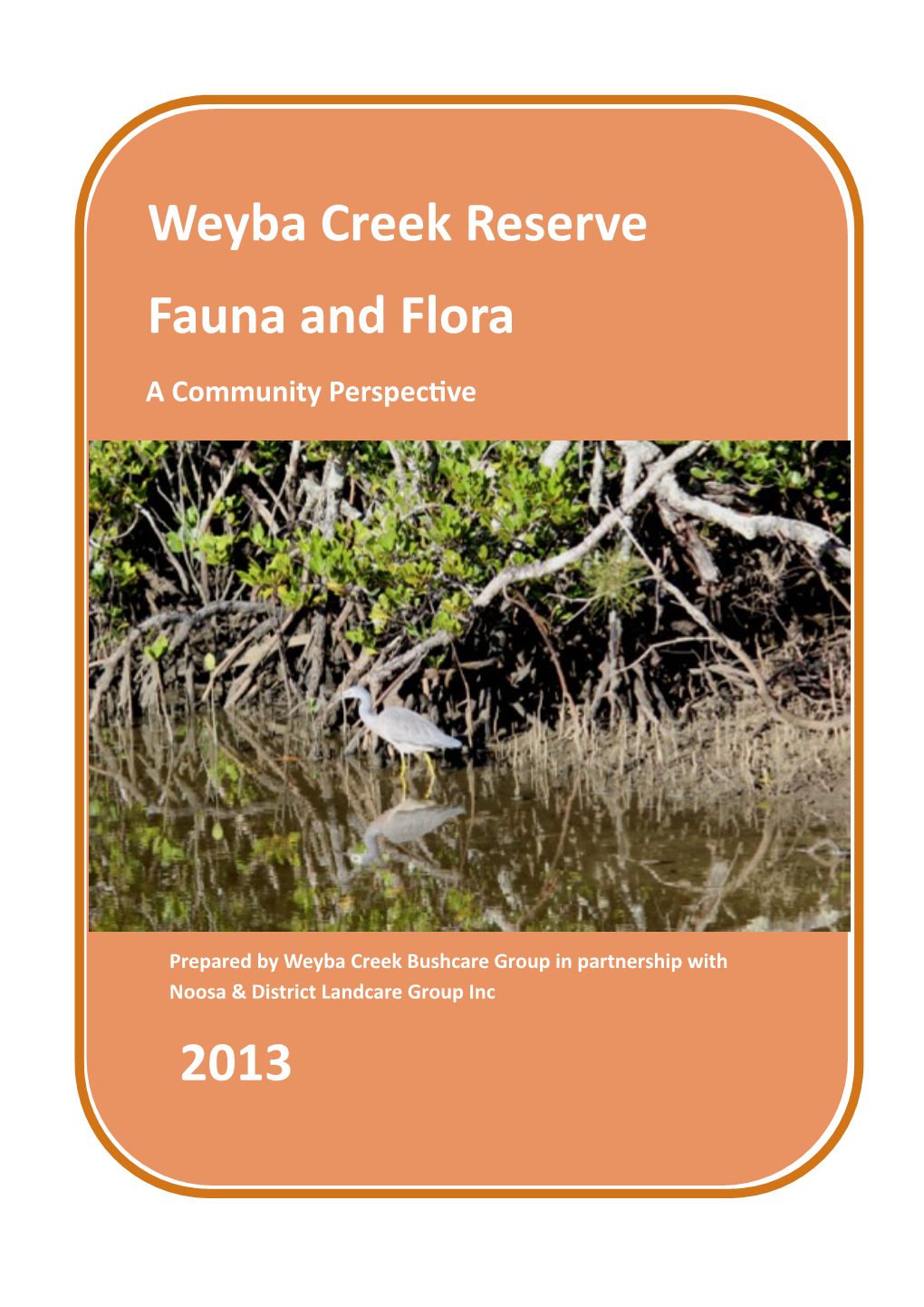 Weyba Creek Reserve Fauna and Flora 2013