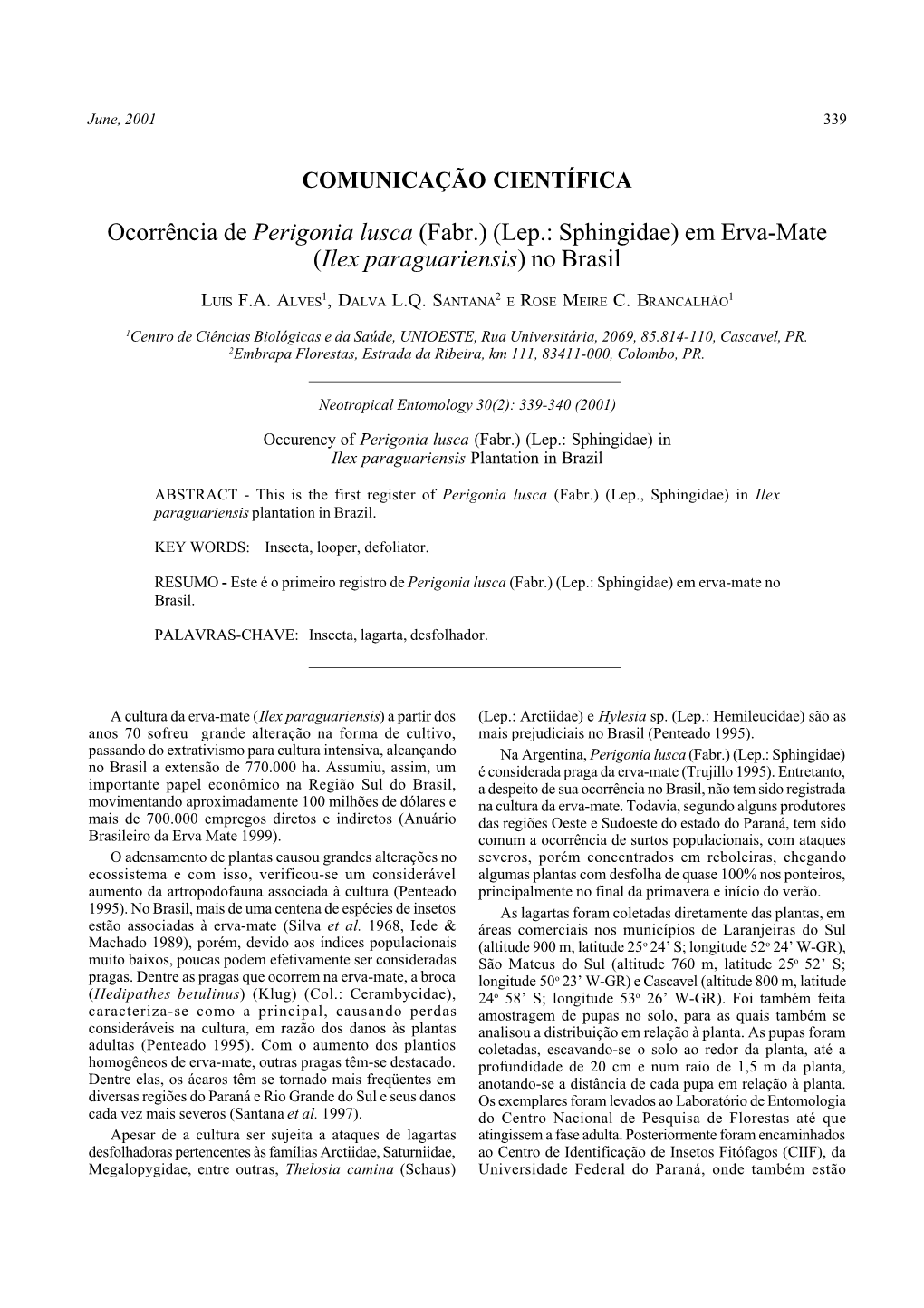 Ocorrência De Perigonia Lusca (Fabr.) (Lep.: Sphingidae) Em Erva-Mate (Ilex Paraguariensis) No Brasil