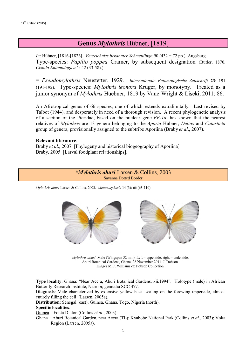 043 Genus Mylothris Huebner