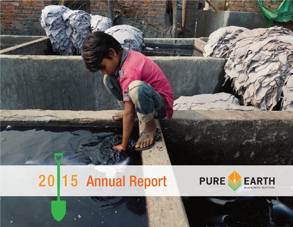 Download the 2015 Annual Report