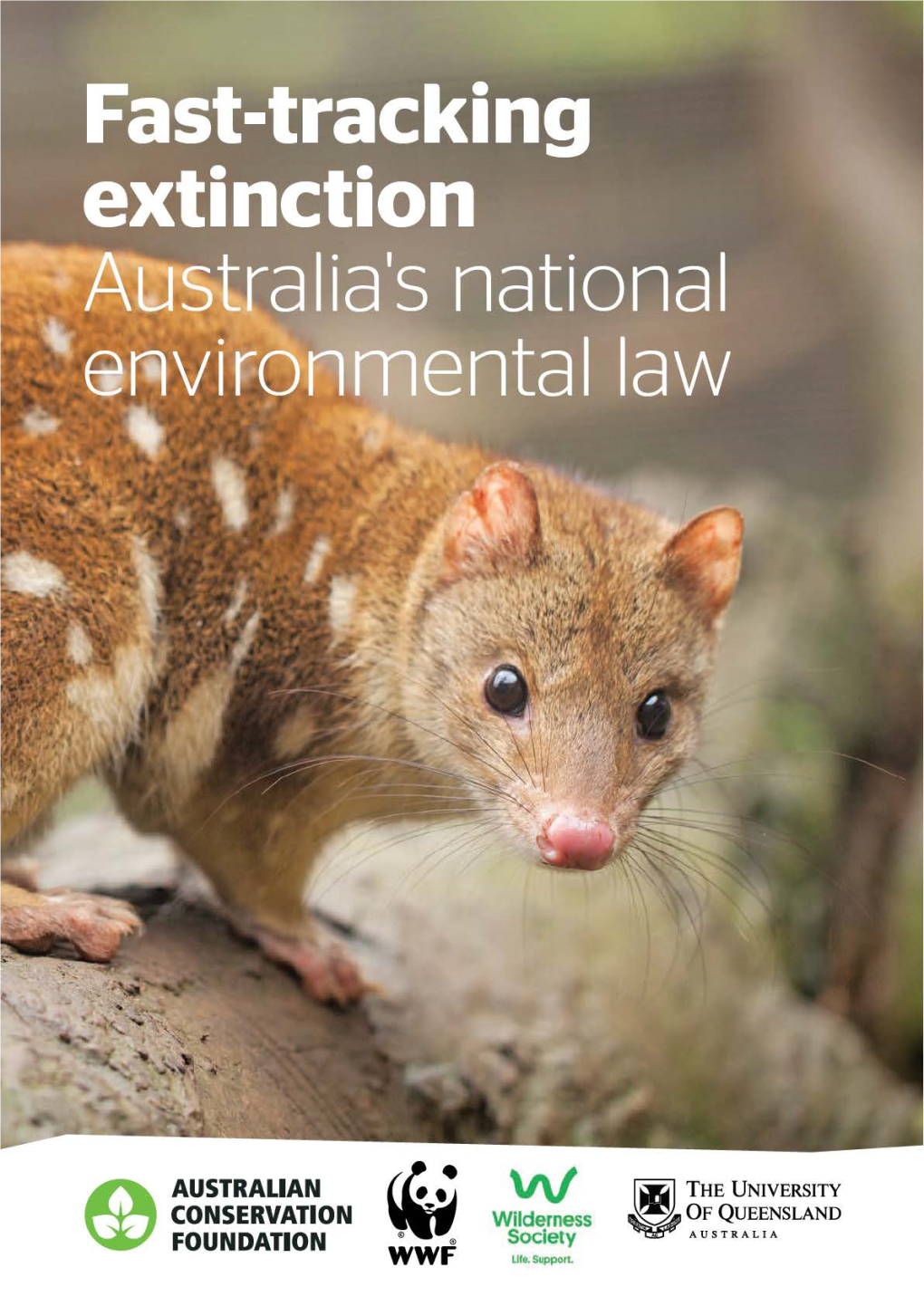 E AUSTRALIAN CONSERVATION FOUNDATION