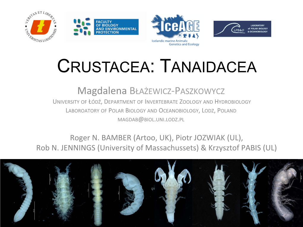 Crustacea: Tanaidacea