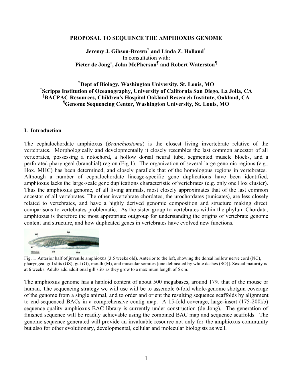 Amphioxus Genome