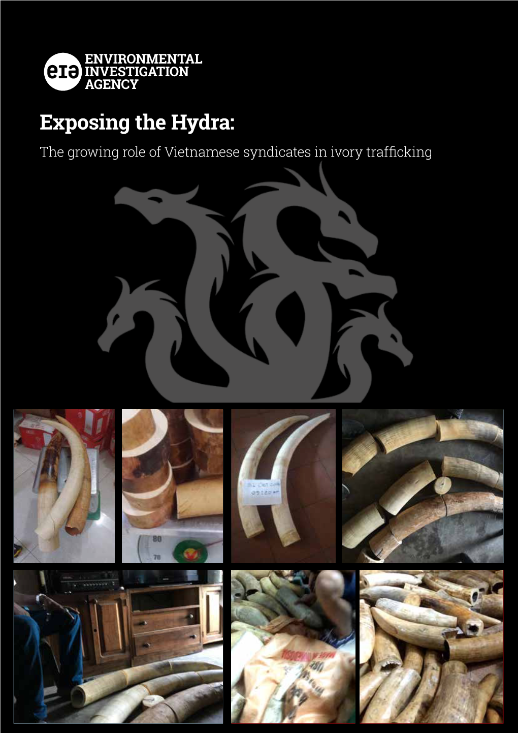 EIA-Report-Exposing-The-Hydra.Pdf