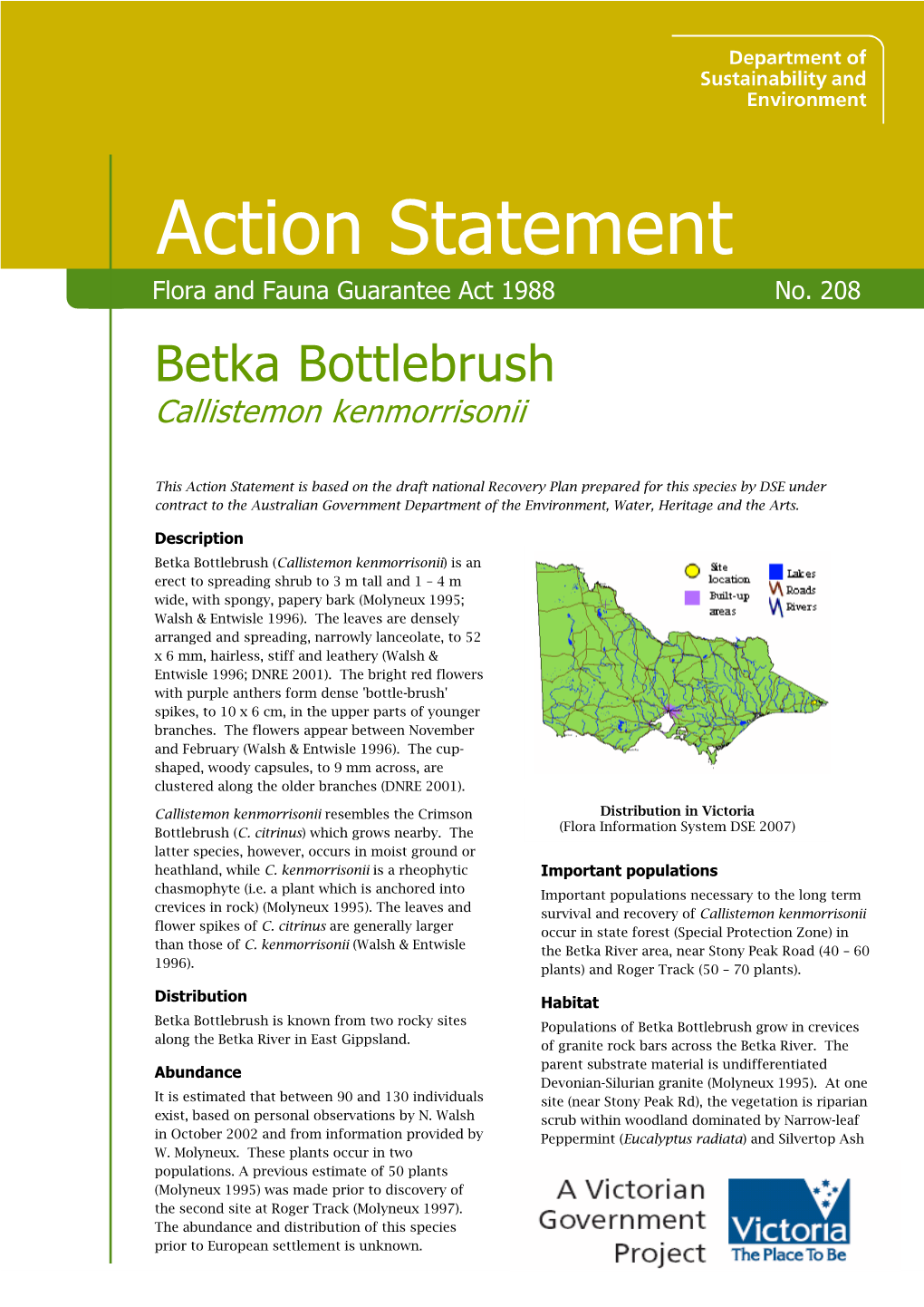 Betka Bottlebrush