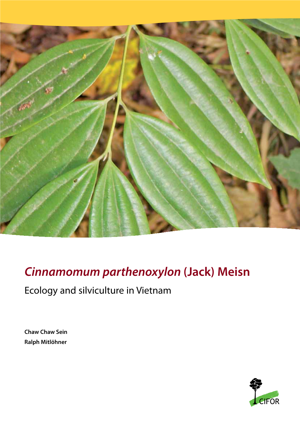 Cinnamomum Parthenoxylon (Jack) Meisn Ecology and Silviculture in Vietnam