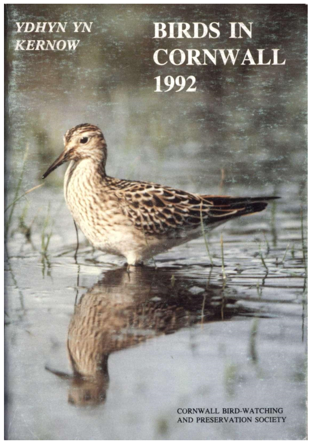 Species List for 1992