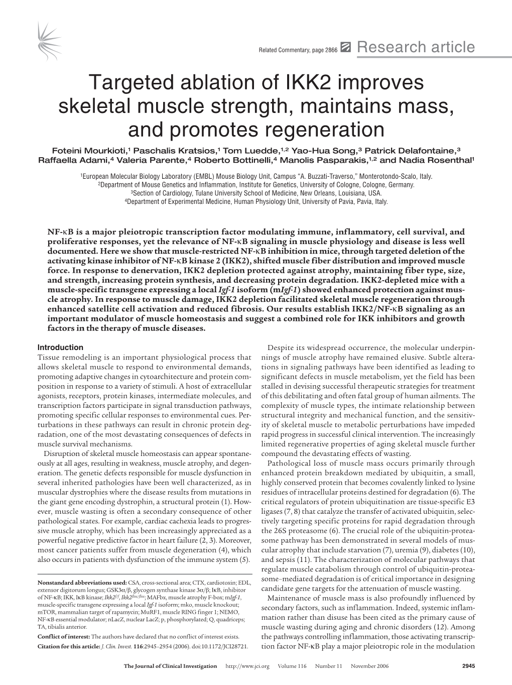 Targeted Ablation of IKK2 Improves Skeletal Muscle Strength, Maintains