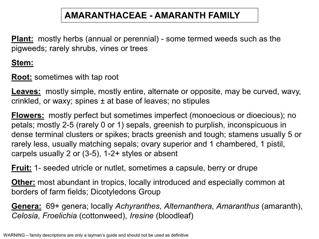 Amaranthaceae - Amaranth Family