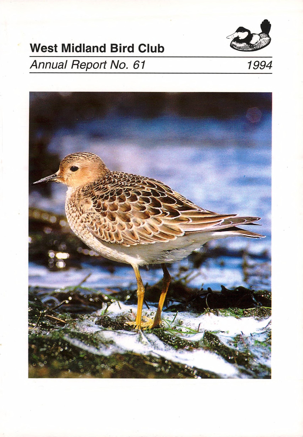 West Midland Bird Club Annual Report No. 61 1994 Buff-Breasted Sandpiper, Draycote, September 1994 (Phill Ward)