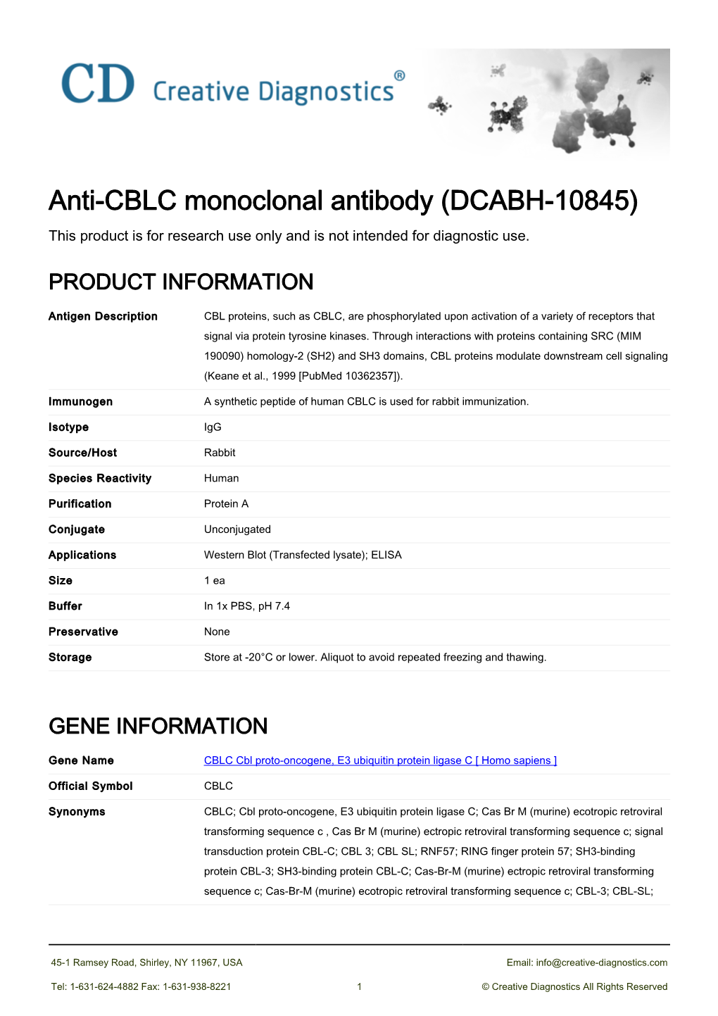 Anti-CBLC Monoclonal Antibody (DCABH-10845) This Product Is for Research Use Only and Is Not Intended for Diagnostic Use