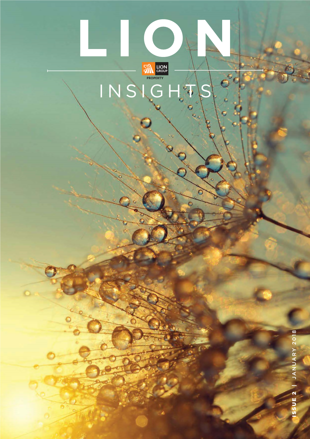 Insights January 2018 Issue 2 |