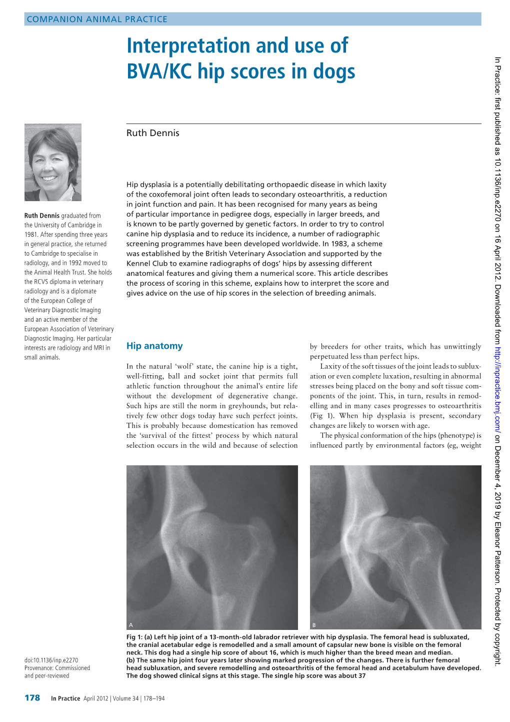 Interpretation and Use of BVA/KC Hip Scores in Dogs by Ruth Dennis