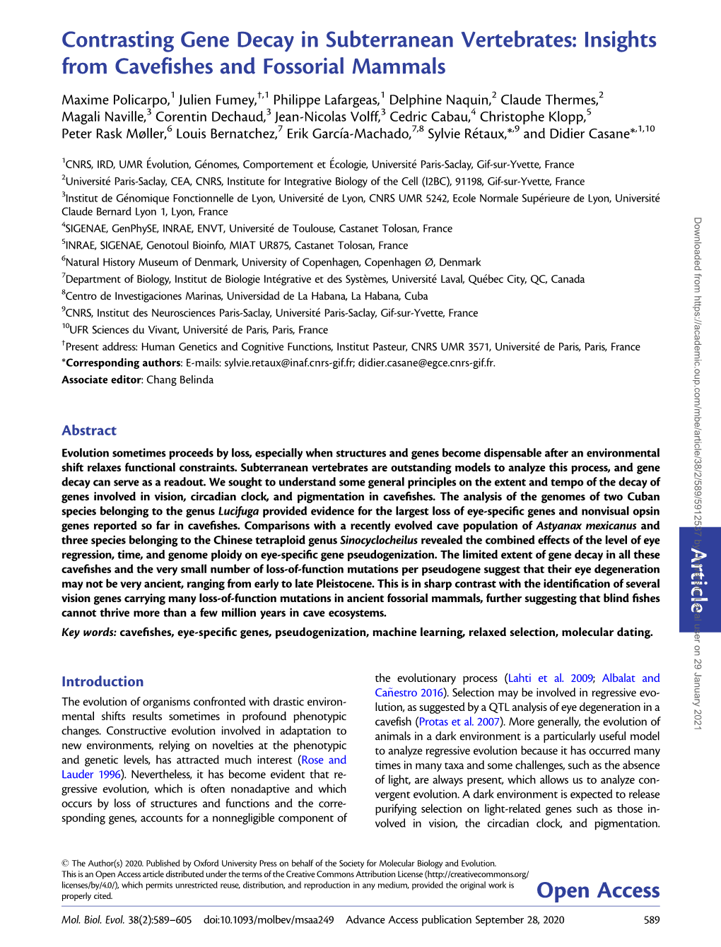 Contrasting Gene Decay in Subterranean Vertebrates: Insights