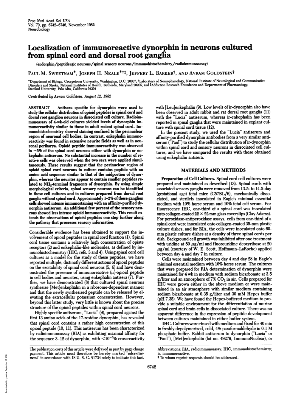 Localization of Immunoreactive Dynorphin in Neurons Cultured From