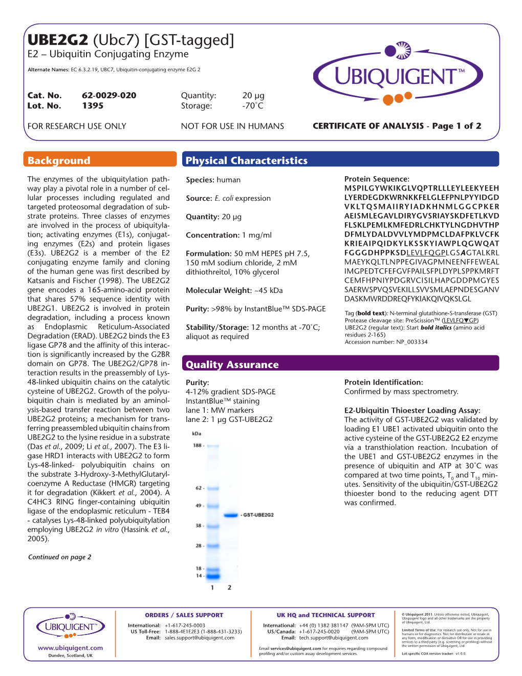 UBE2G2 (Ubc7) [GST-Tagged] E2 – Ubiquitin Conjugating Enzyme