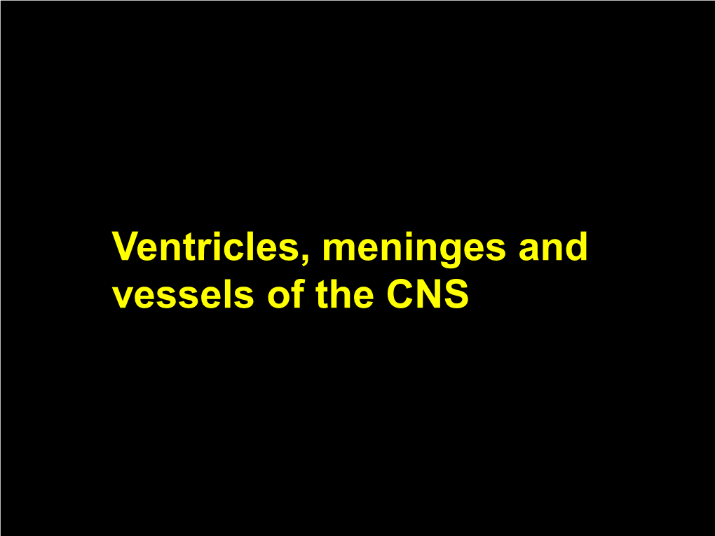 6B Ventricles__Vessels__Meninges