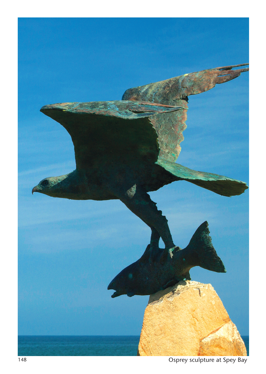 Osprey Sculpture at Spey Bay WALK 24