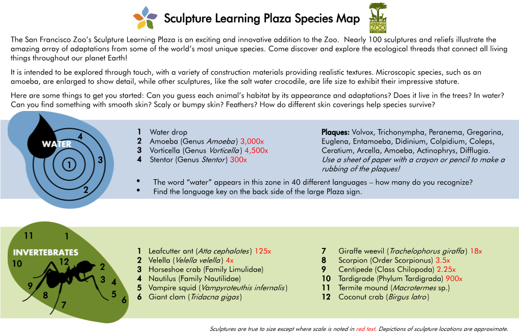 Sculpture Learning Plaza Species Map