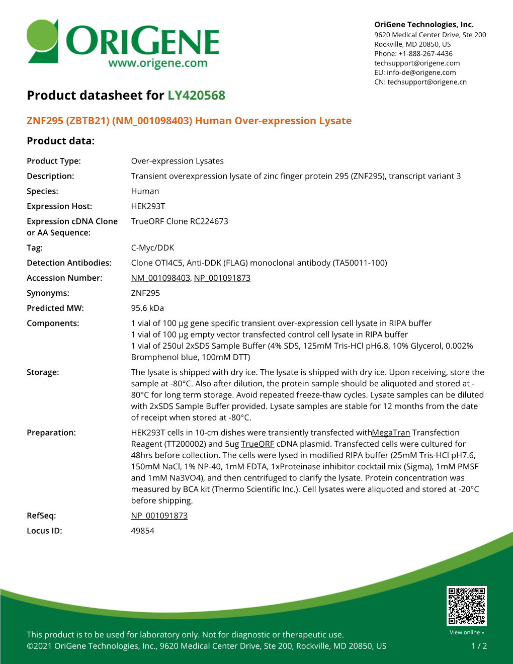 ZNF295 (ZBTB21) (NM 001098403) Human Over-Expression Lysate Product Data