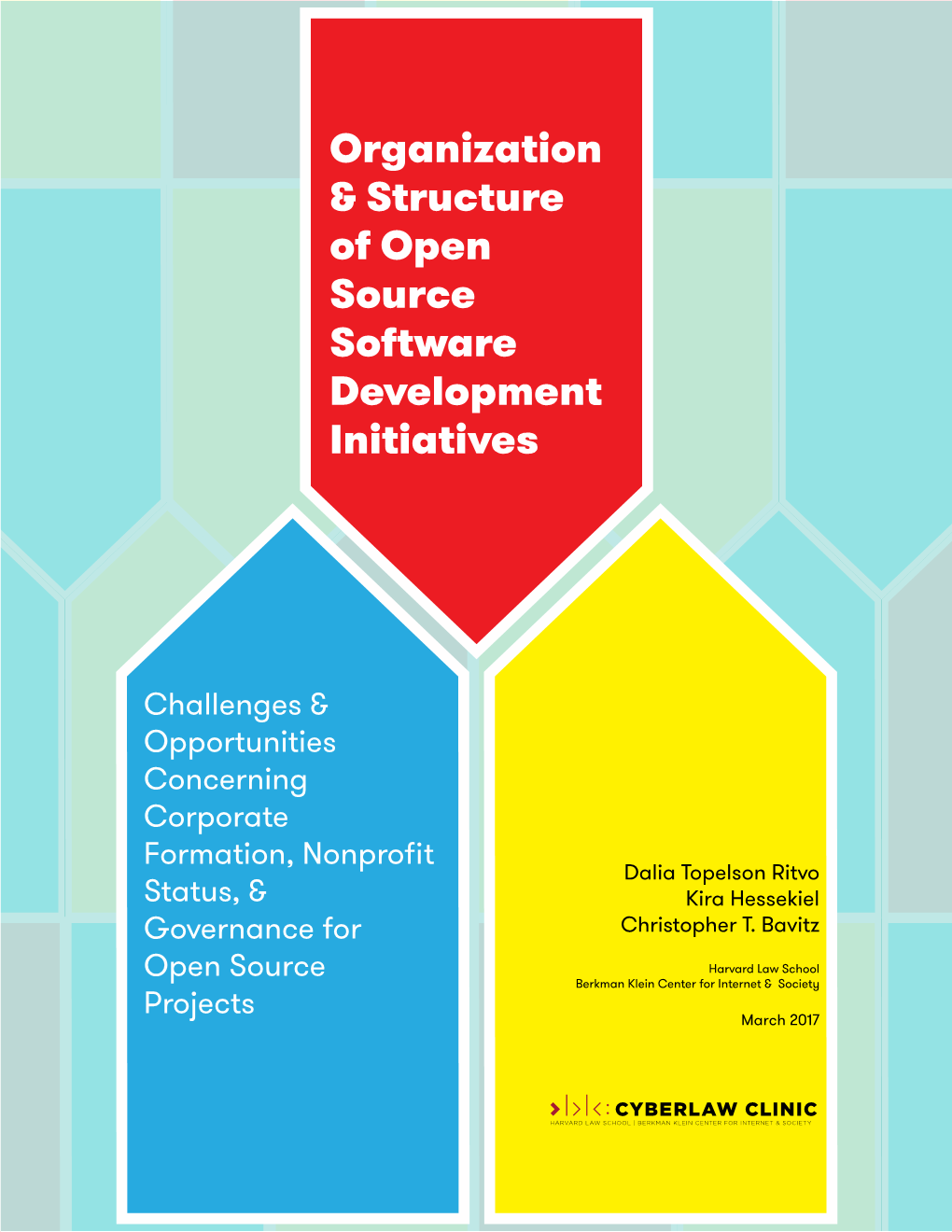 Organization & Structure of Open Source Software Development Initiatives