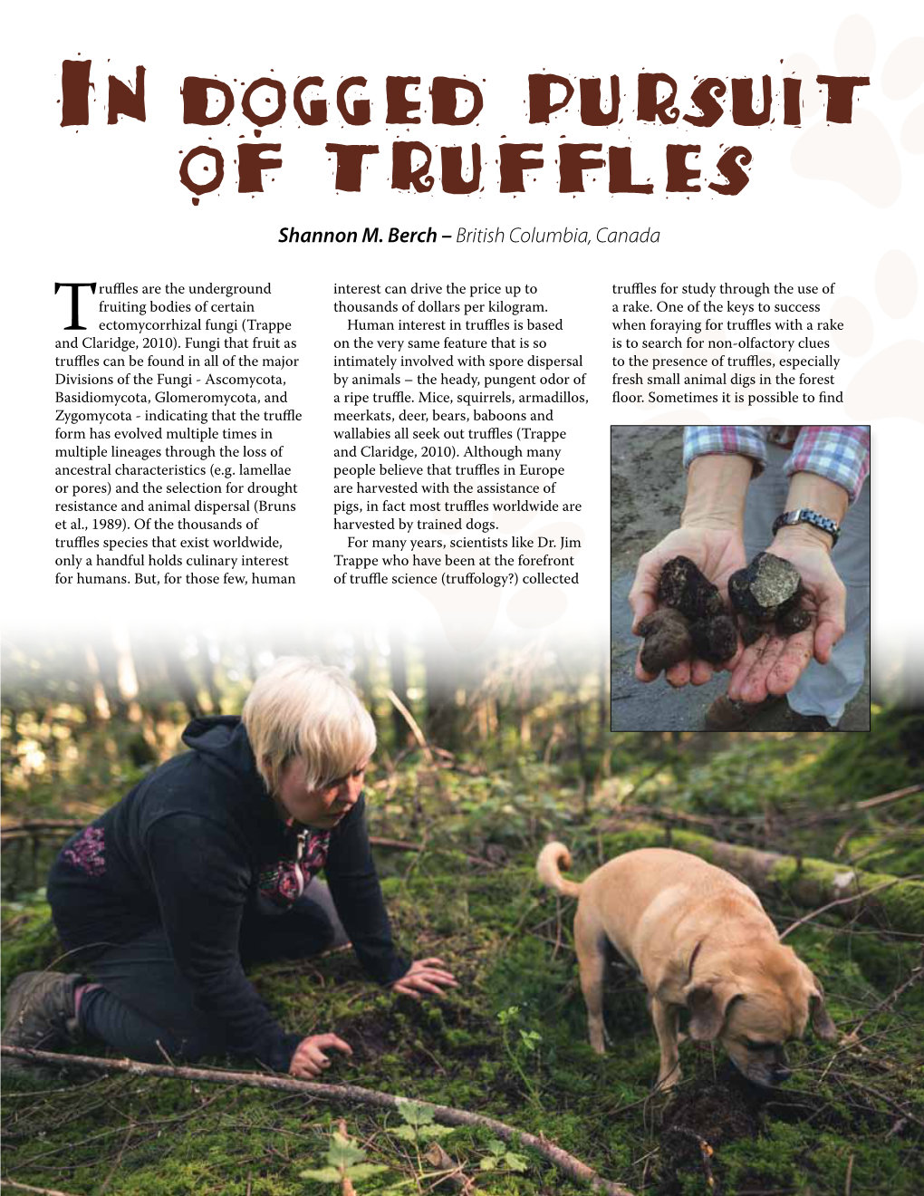 In Dogged Pursuit of Truffles