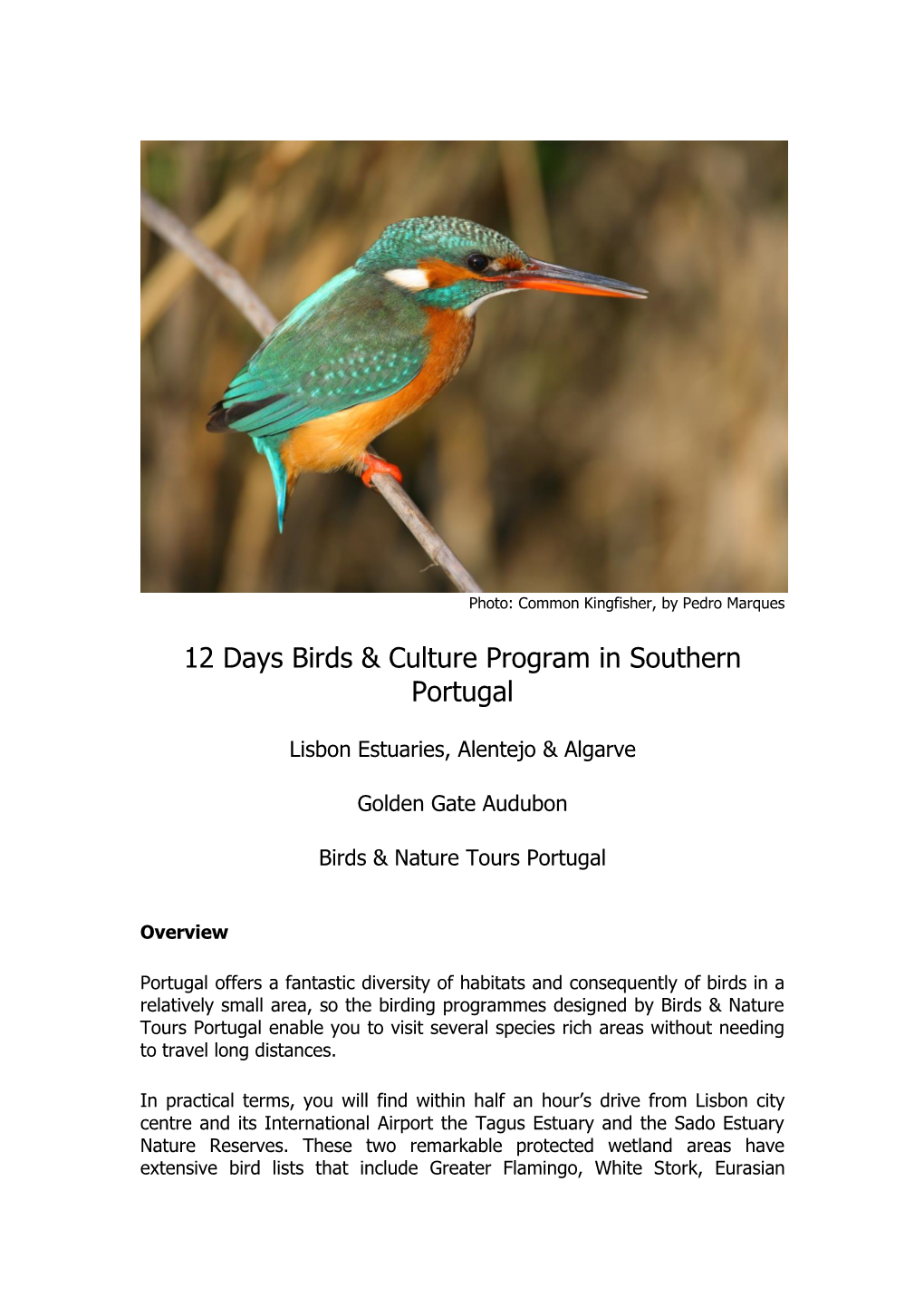 12 Days Birds & Culture Program in Southern Portugal