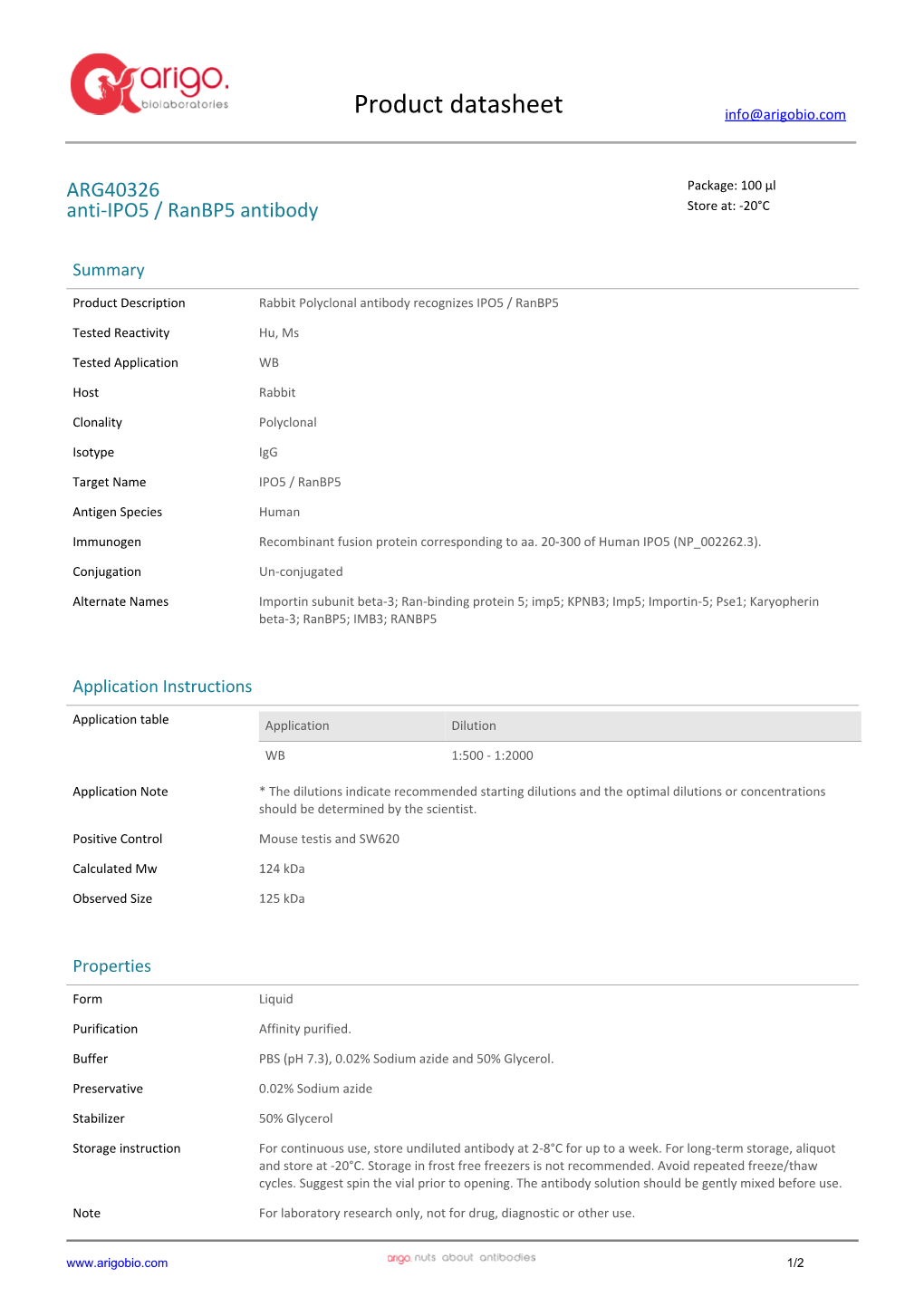 Anti-IPO5 / Ranbp5 Antibody (ARG40326)