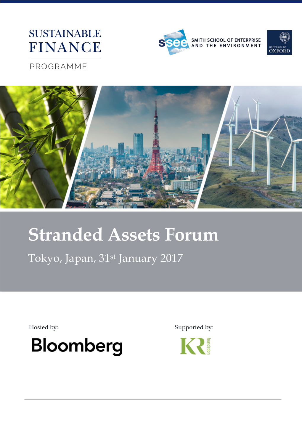 Stranded Assets Forum Tokyo, Japan, 31St January 2017