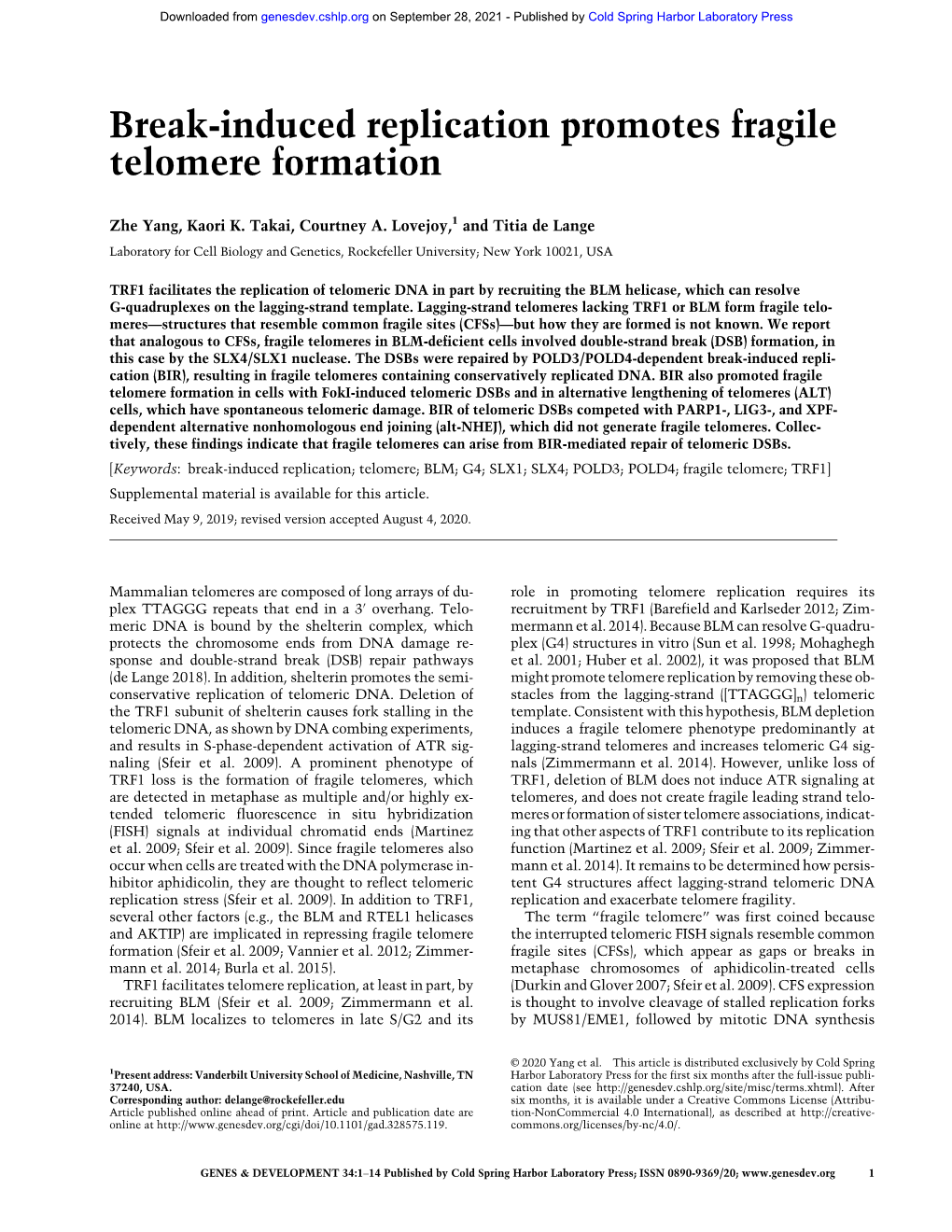 Break-Induced Replication Promotes Fragile Telomere Formation