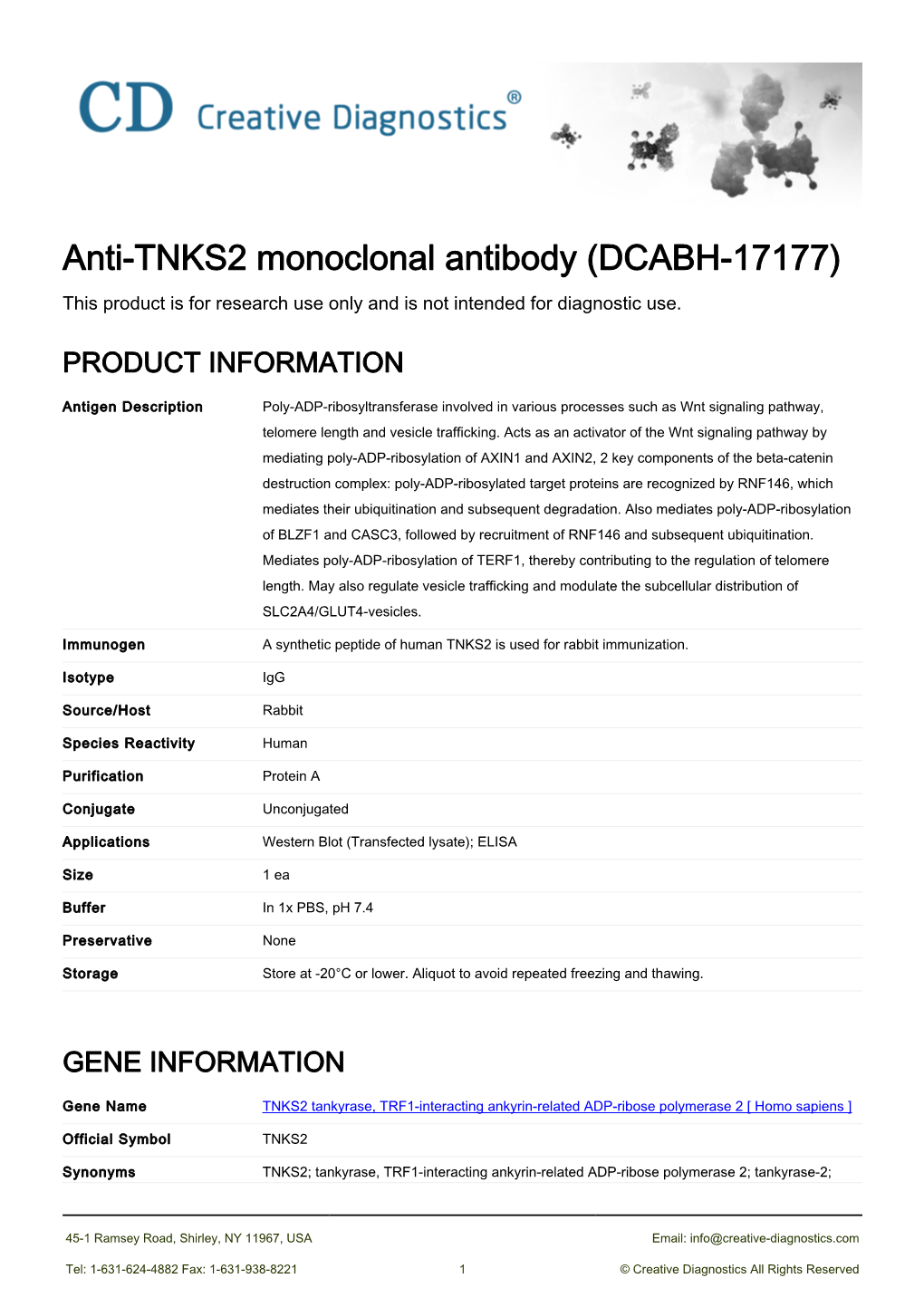 Anti-TNKS2 Monoclonal Antibody (DCABH-17177) This Product Is for Research Use Only and Is Not Intended for Diagnostic Use