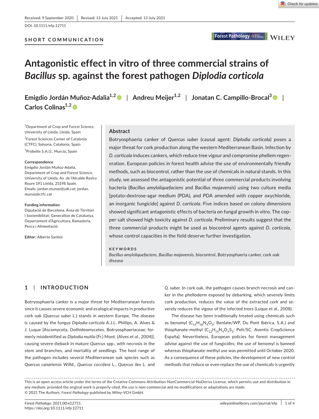 Antagonistic Effect in Vitro of Three Commercial Strains of Bacillus Sp