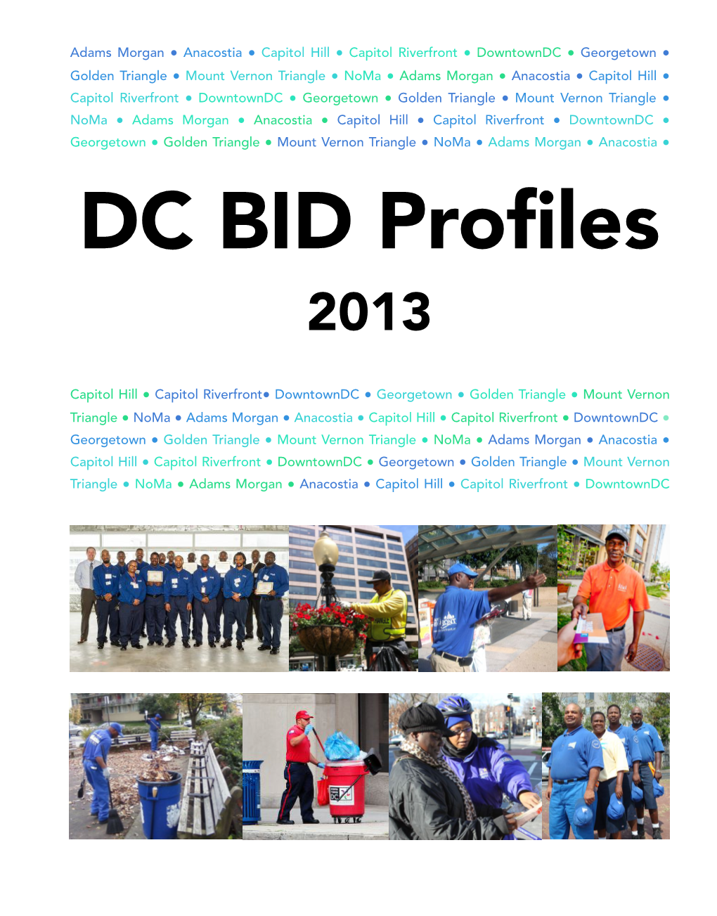 2013 BID Profiles