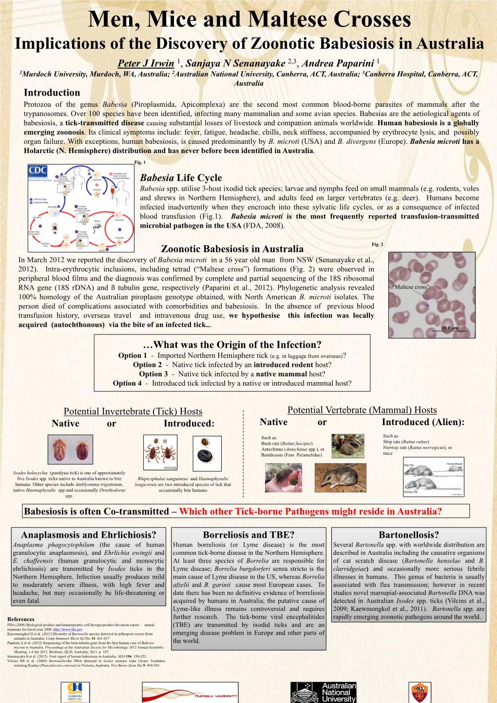 What Was the Origin of the Infection? Babesia Life Cycle