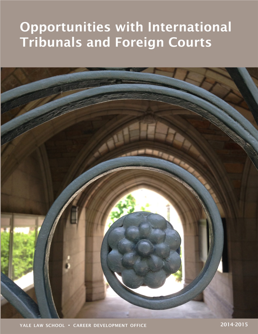 Opportunities with International Tribunals and Foreign Courts Public Interest Careers Public Interest Fellowships Vol