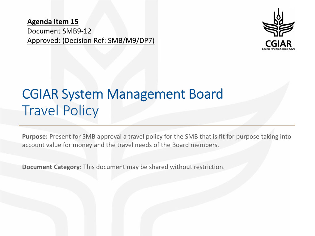 SMB Travel Policy