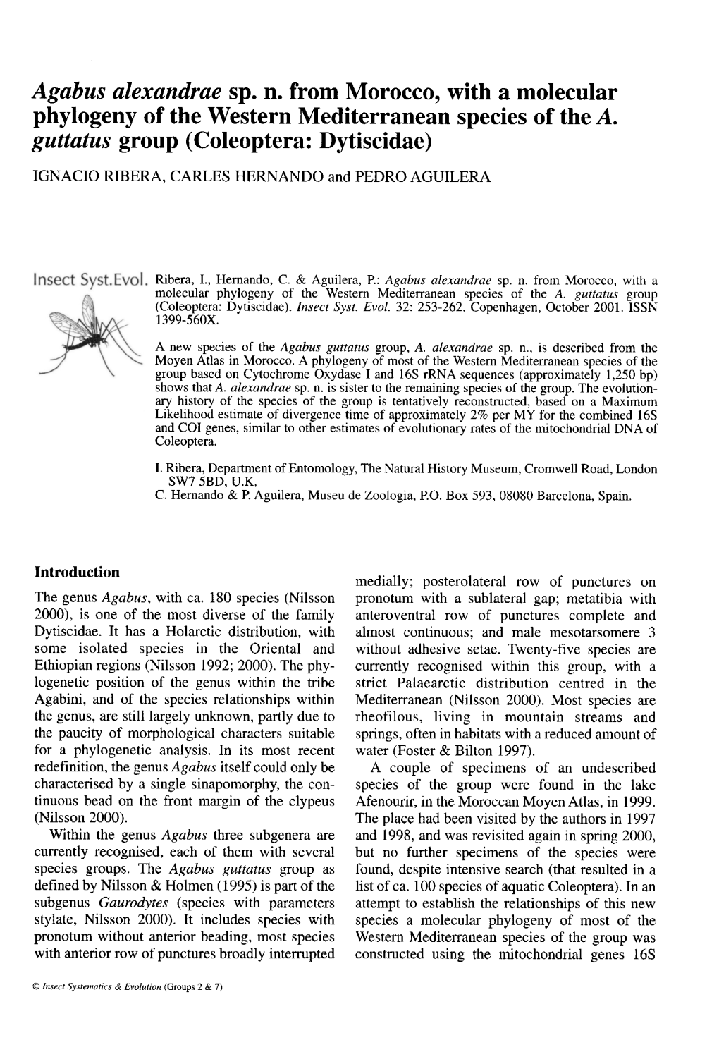 Agabus Alexandrae Sp. N. from Morocco, with a Molecular Phylogeny of the Western Mediterranean Species of the A