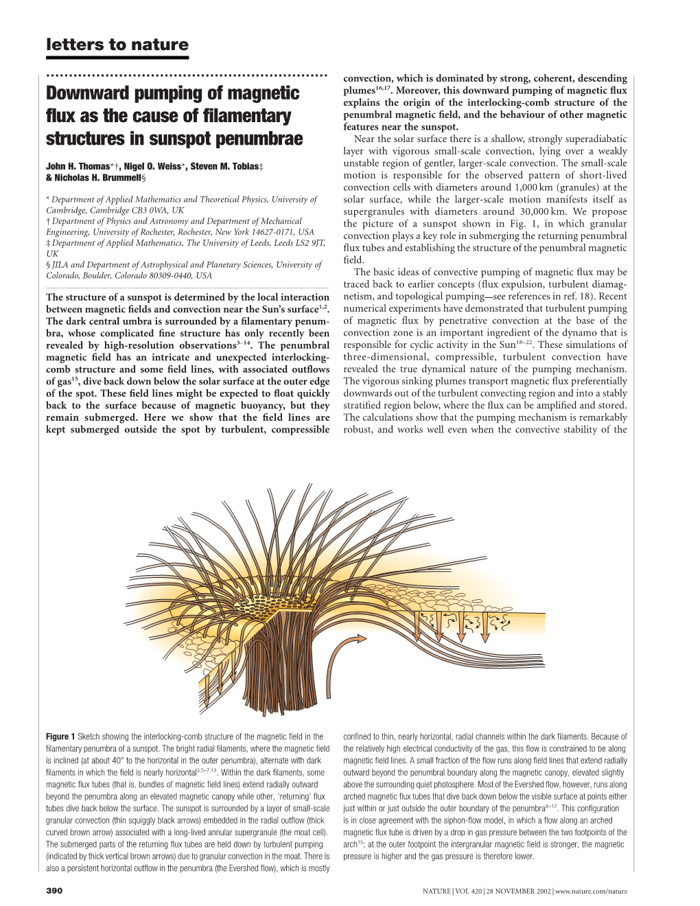 Downward Pumping of Magnetic Flux As the Cause of Filamentary