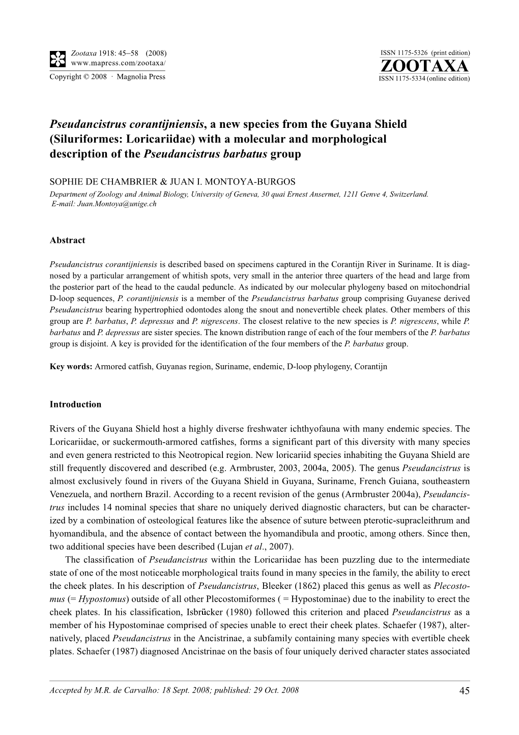 Zootaxa, Pseudancistrus Corantijniensis, a New Species From