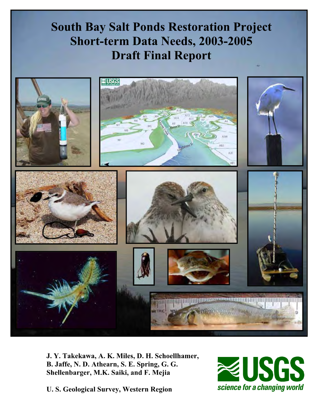 South Bay Salt Ponds Restoration Project Short-Term Data Needs, 2003-2005 Draft Final Report