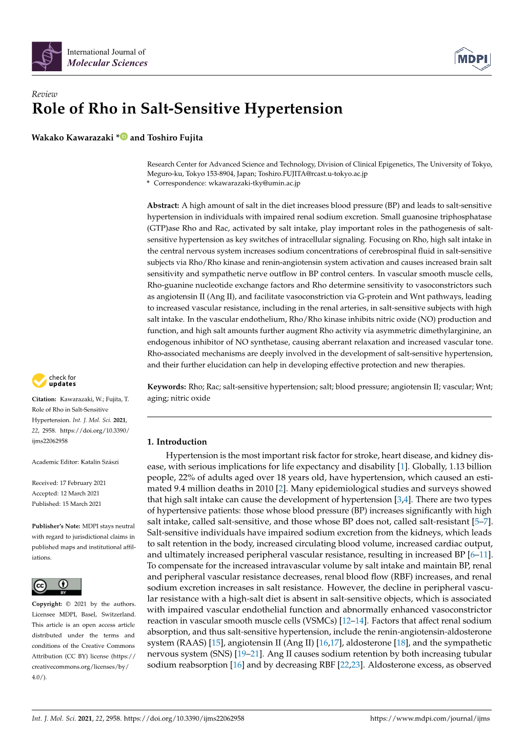 Role of Rho in Salt-Sensitive Hypertension